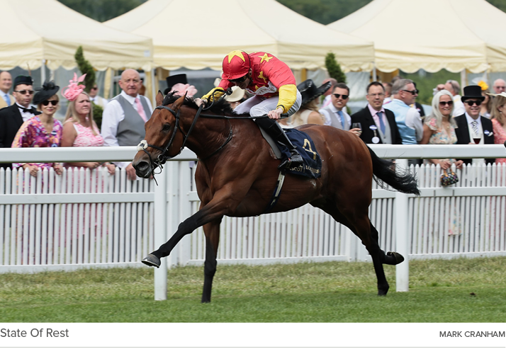 State Of Rest Mark Cranha