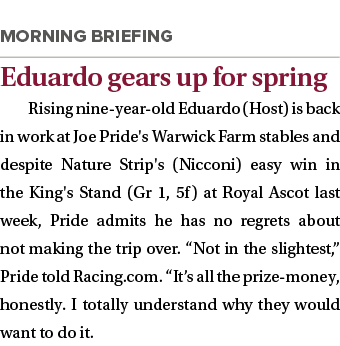  Eduardo gears up for spring Rising nine-year-old Eduardo (Host) is back in work at Joe Pride's Warwick Farm stables    
