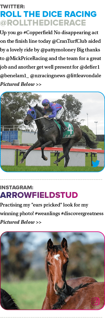 Twitter: Roll the Dice Racing @RolltheDiceRace Up you go #Copperfield No disappearing act on the finish line today @C...