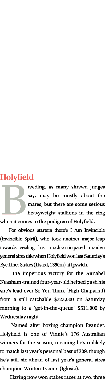 Holyfield Breeding, as many shrewd judges say, may be mostly about the mares, but there are some serious heavyweight ...