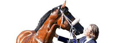 Connections of Home Affairs after winning the Black Caviar Lightning at Flemington Racecourse on February 19, 2022 in Flemington, Australia. (Brett Holburt/Racing Photos)