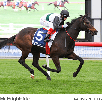 Mr Brightside Racing Photo