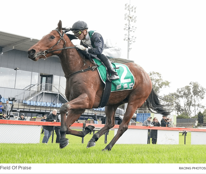 Field Of Praise racing photo