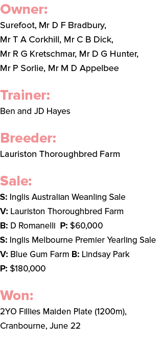Owner: Surefoot, Mr D F Bradbury, Mr T A Corkhill, Mr C B Dick, Mr R G Kretschmar, Mr D G Hunter, Mr P Sorlie, Mr M D...