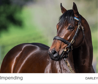 Impending darle