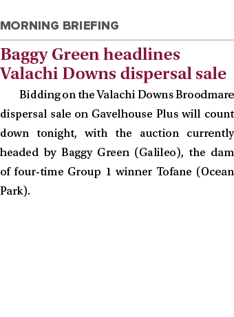 Baggy Green headlines Valachi Downs dispersal sale Bidding on the Valachi Downs Broodmare dispersal sale on Gavelhou...