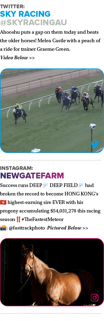 Twitter: SKY Racing @SkyRacingAU Ahooshu puts a gap on them today and beats the older horses! Melea Castle with a pea...
