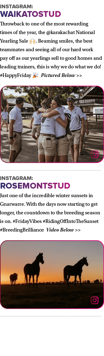 Instagram: waikatostud Throwback to one of the most rewarding times of the year, the @karakachat National Yearling Sa...