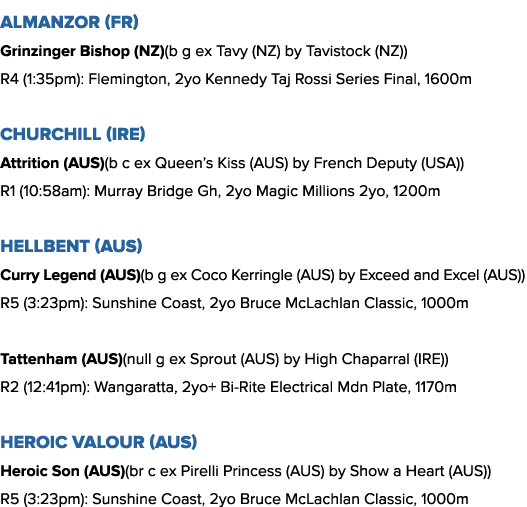 Almanzor (FR) Grinzinger Bishop (NZ)(b g ex Tavy (NZ) by Tavistock (NZ)) R4 (1:35pm): Flemington, 2yo Kennedy Taj Ros...