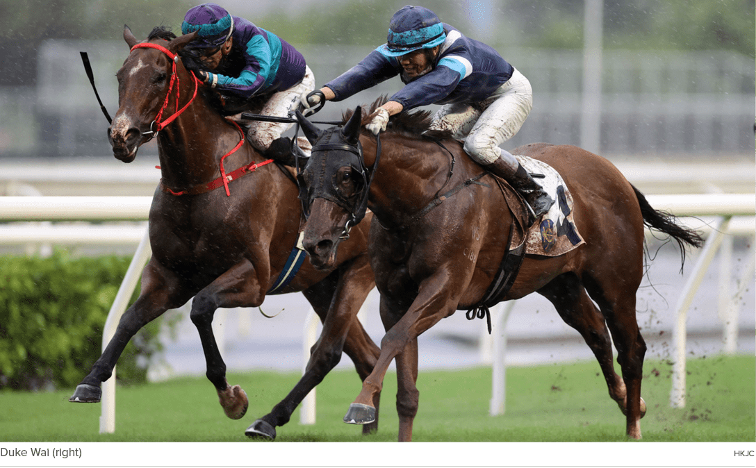 Duke Wai (right) HKJ