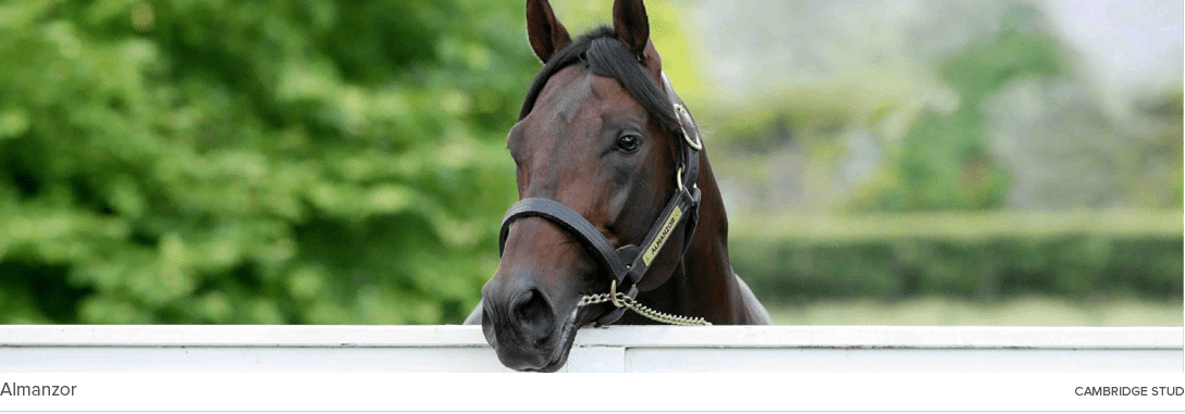 Almanzor cambridge stu