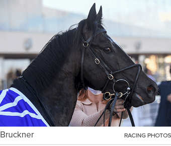 Bruckner RACING PHOTO