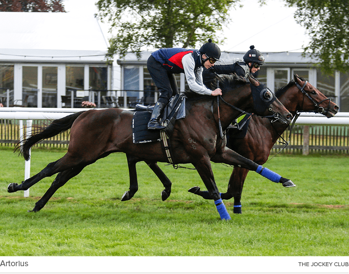 Artorius the jockey clu