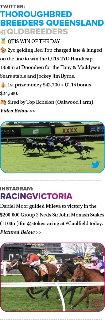 Twitter: Thoroughbred Breeders Queensland @QldBreeders 🥇 QTIS WIN OF THE DAY 🏇 2yo gelding Red Top charged late & l...