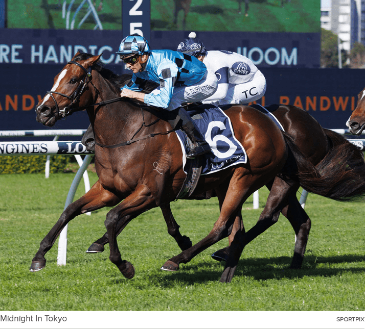 Midnight In Tokyo SPORTPI