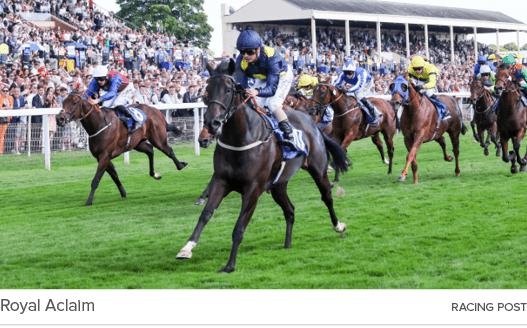 Royal Aclaim racing pos