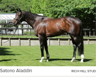 Satono Aladdin rich hill stu