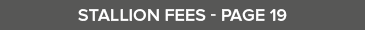 Stallion Fees - Page 1
