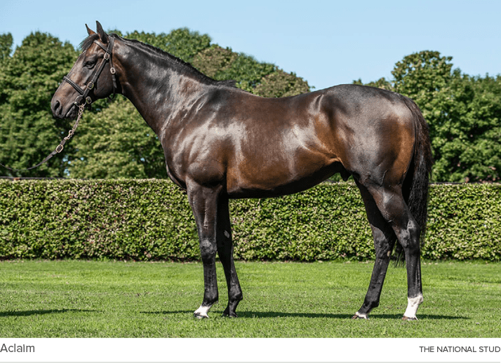 Aclaim the national stu