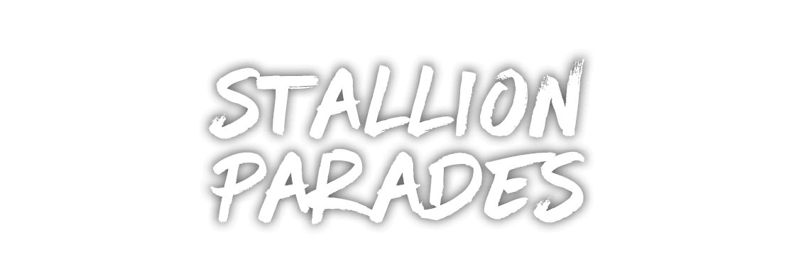 Stallion parades