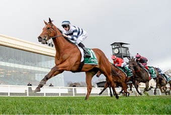 Uncommon James ridden by Damian Lane wins the Evergreen Turf Regal Roller Stakes at Caulfield Racecourse on August 13, 2022 in Melbourne, Australia. (Photo by Brett Holburt/Racing Photos)