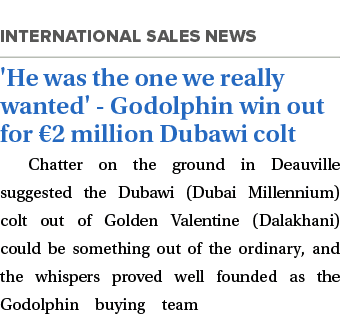  'He was the one we really wanted' - Godolphin win out for €2 million Dubawi colt Chatter on the ground in Deauville ...