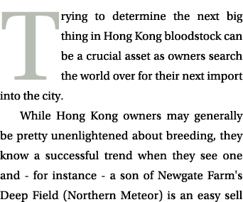 Trying to determine the next big thing in Hong Kong bloodstock can be a crucial asset as owners search the world over...