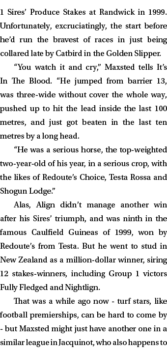 1 Sires’ Produce Stakes at Randwick in 1999. Unfortunately, excruciatingly, the start before he’d run the bravest of ...