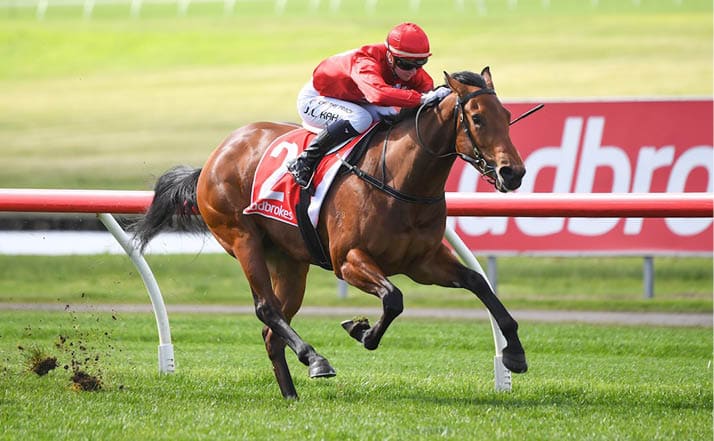 Born Hustler ridden by Jamie Kah wins the Ladbrokes Easy Form Plate at Ladbrokes Park Lakeside Racecourse on August 31, 2022 in Springvale, Australia. (Photo by Pat Scala/Racing Photos)