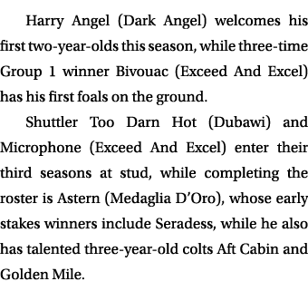 Harry Angel (Dark Angel) welcomes his first two-year-olds this season, while three-time Group 1 winner Bivouac (Excee...