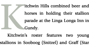 Kitchwin Hills combined beer and horses in holding their stallion parade at the Linga Longa Inn in Gundy. Kitchwin’s ...