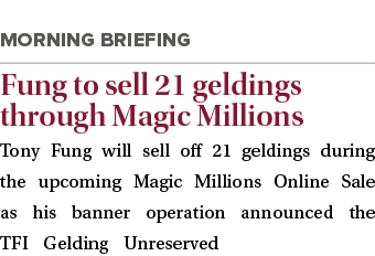  Fung to sell 21 geldings through Magic Millions Tony Fung will sell off 21 geldings during the upcoming Magic Millio...