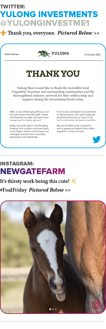 Twitter: Yulong Investments @YulongInvestme1 ⚜️ Thank you, everyone. Pictured Below >> -----------------------------...