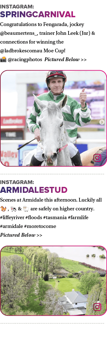 Instagram: springcarnival Congratulations to Fengarada, jockey @beaumertens_, trainer John Leek (Jnr) & connections f...