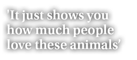 'It just shows you how much people love these animals’