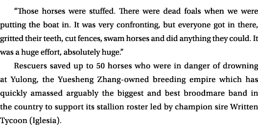 “Those horses were stuffed. There were dead foals when we were putting the boat in. It was very confronting, but ever...