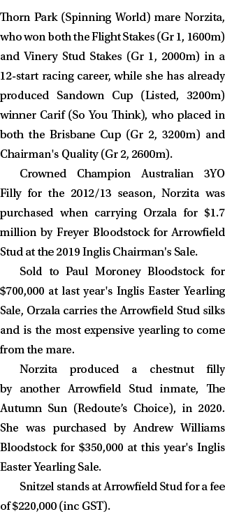 Thorn Park (Spinning World) mare Norzita, who won both the Flight Stakes (Gr 1, 1600m) and Vinery Stud Stakes (Gr 1, ...