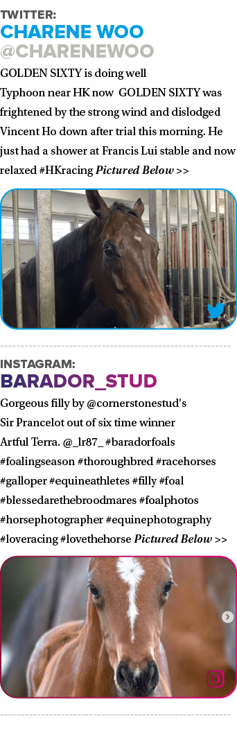 Twitter: charene woo @ChareneWoo GOLDEN SIXTY is doing well Typhoon near HK now GOLDEN SIXTY was frightened by the st...