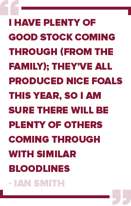 I have plenty of good stock coming through (from the family); they’ve all produced nice foals this year, so I am sure...