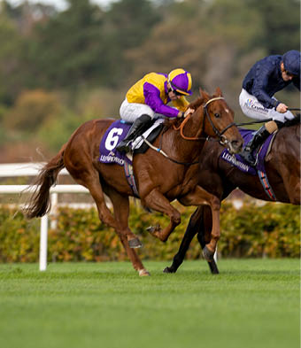 Speirling Beag and Rory Cleary wins the Gr 3 Eyrefield Stakes  Leopardstown  Photo: Patrick McCann Racing Post 22 10 2022
