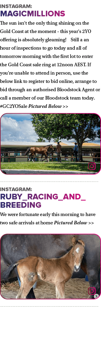 Instagram: MAGICMILLIONS The sun isn't the only thing shining on the Gold Coast at the moment - this year's 2YO offer...
