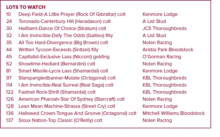 Lots to watch 10 Deep Field-A Little Prayer (Rock Of Gibraltar) colt Kenmore Lodge 24 Toronado-Canterbury Hill (Harad...