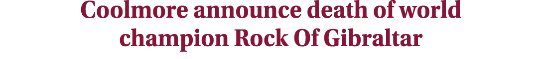 Coolmore announce death of world champion Rock Of Gibraltar