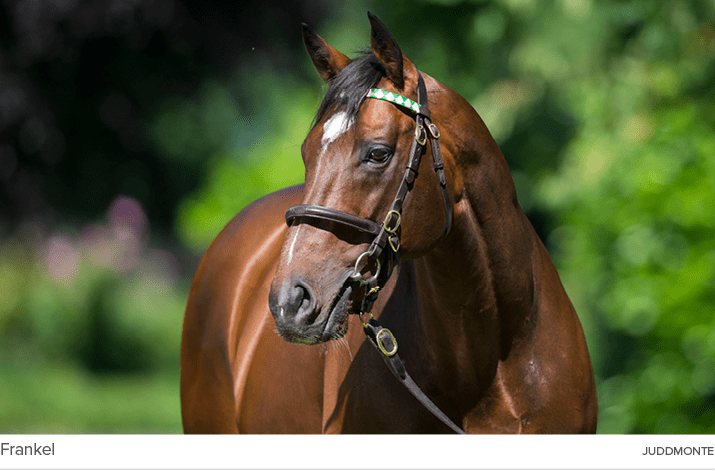 Frankel juddmont