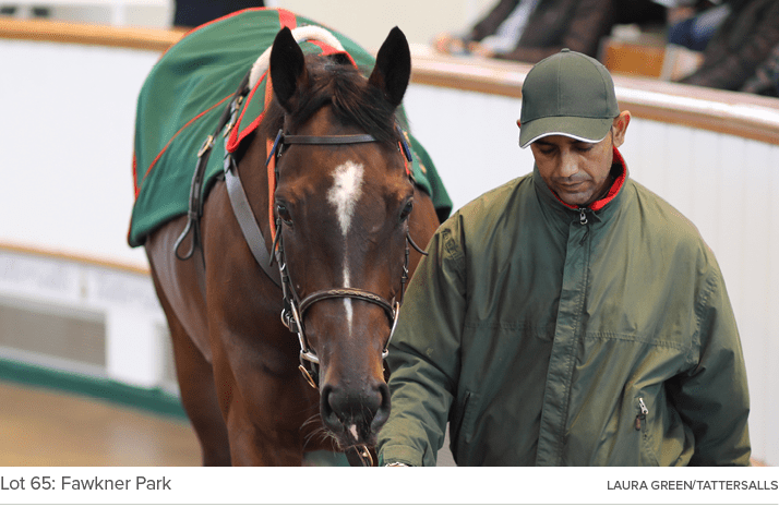 Lot 65: Fawkner Park Laura Green/Tattersall
