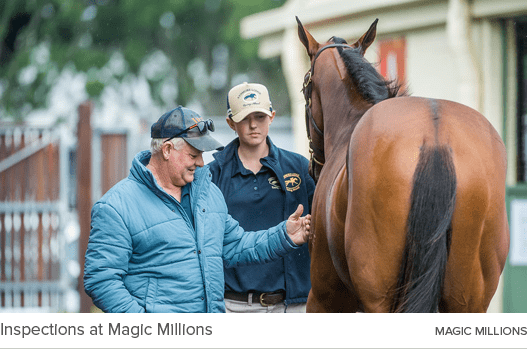 Inspections at Magic Millions magic million