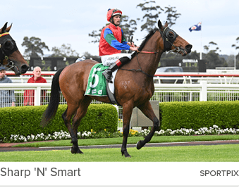 Sharp 'N' Smart sportpi