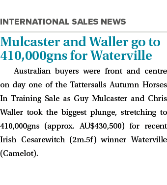 Mulcaster and Waller go to 410,000gns for Waterville Australian buyers were front and centre on day one of the Tatte...