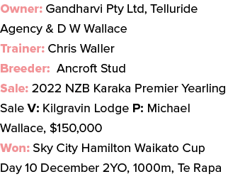 Owner: Gandharvi Pty Ltd, Telluride Agency & D W Wallace Trainer: Chris Waller Breeder: Ancroft Stud Sale: 2022 NZB K...