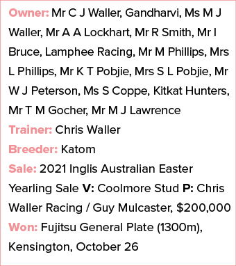 Owner: Mr C J Waller, Gandharvi, Ms M J Waller, Mr A A Lockhart, Mr R Smith, Mr I Bruce, Lamphee Racing, Mr M Phillip...